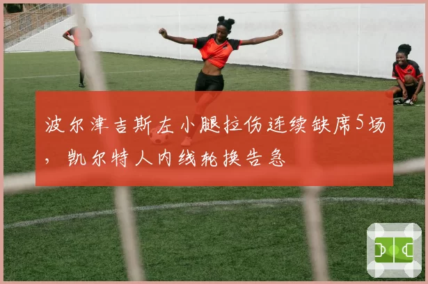 波尔津吉斯左小腿拉伤连续缺席5场，凯尔特人内线轮换告急