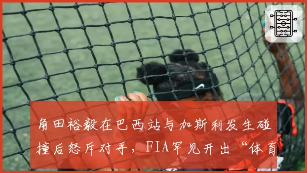 角田裕毅在巴西站与加斯利发生碰撞后怒斥对手，FIA罕见开出“体育精神”罚单
