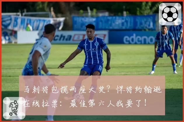 马刺将包揽两座大奖?悍将约翰逊在线拉票:最佳第六人我要了!